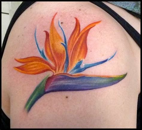 Ideas For Bird Of Paradise Flower Tattoos Bird Of Paradise Tattoo