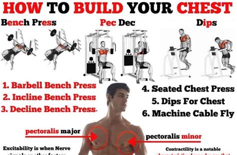 How To Do Chest Exercises Chest Programs Benefits Tips