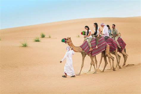 Tripadvisor Safari No Deserto De Doha Golden Dune Dune Bashing