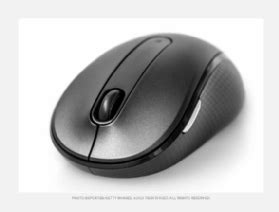 What is mouse? | Definition from TechTarget