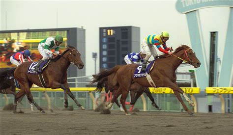 東スポ競馬 On Twitter フェブラリーs の二刀流といえば アグネスデジタル アドマイヤドン 競馬 T