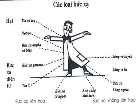 Bức xạ là gì Các loại bức xạ ion hóa