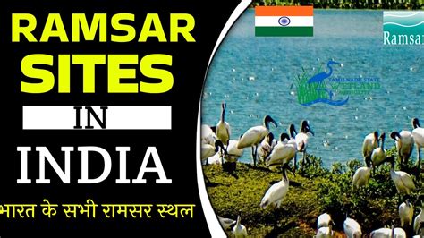 Latest Wetland Added In Ramsar List 75 Ramsar Sites Of India 2023