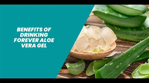 Benefits Of Drinking Forever Aloe Vera Gel Youtube