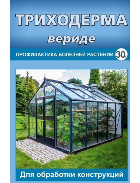 Триходерма вериде для теплиц 30 г ВХ купить в РастишкаТЛТ