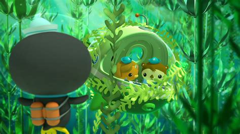 Octonauts Latest Episodes Abc Iview