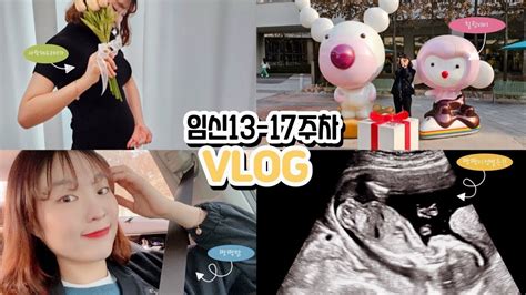 Vlog 임산부브이로그🤰🏻 I 짱짱이 성별 확인 🌶🍑 I 임신 14~17주차 일상👶🏻 I 16주 초음파 I 마켓컬리 여주