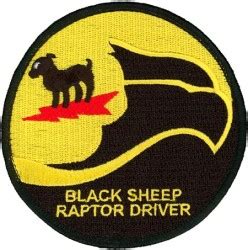 8th FIGHTER SQUADRON BLACK SHEEP RAPTOR DRIVER Flightline Insignia