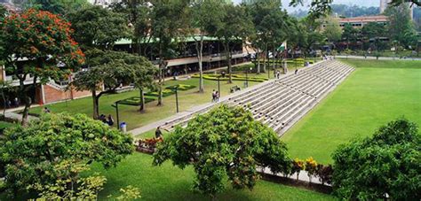 Universidad De Medellín Carreras Y Matrícula 2025