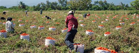 Unidad de producción agropecuaria elemento indispensable de desarrollo