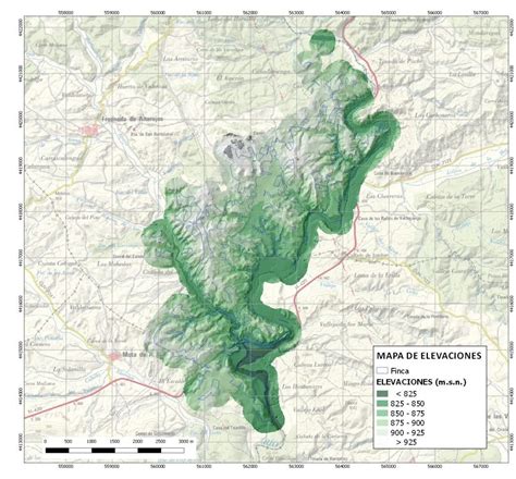 Cartografía Básica Estudios Del Medio Natural Mapas Forestales