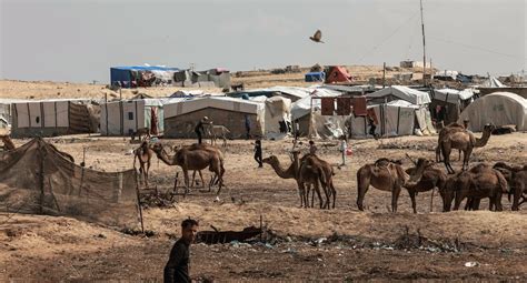 Guerra En Gaza Israel Posterga Su Ofensiva Militar En La Ciudad De