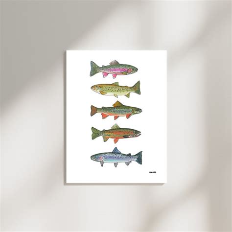 Rainbow Trout Art Etsy