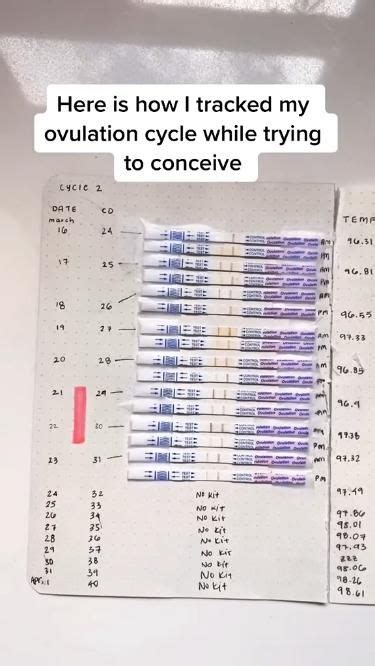 Heres How I Tracked My Ovulation Cycle While Trying To Conceive