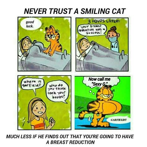 Garfield Surviving A Breast Implant Who Do You Think Took Your Boobs