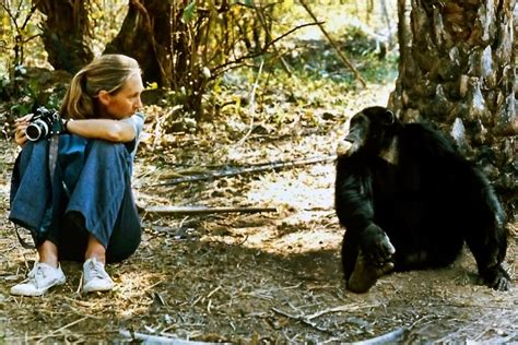 Jane Goodall Shares Message Of Hope With South Florida Fiu News