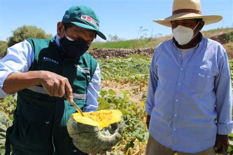 Moquegua pequeños productores logran certificación para exportar 1223