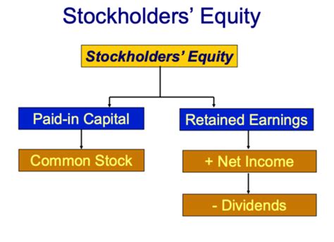 Introduction Financial Statements Flashcards Quizlet