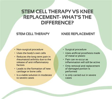 Stem Cell Treatment For Knee Injuries A Closer Look