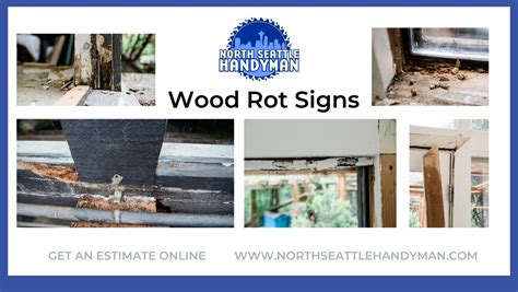 Wood Rot Signs And Repair — North Seattle Handyman