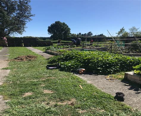 Te Puna Matauranga Maara Kai Ki Te Oturu Hauora