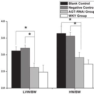 Changes In HW BW And LVW BW Ratios In Experimental Rats At The End Of