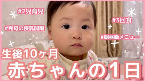 【生後10ヶ月】赤ちゃんの1日タイムスケジュール三回食朝昼晩メニュー完母授乳回数離乳食後期【3歳差2児育児】 Youtube