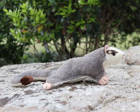 Sugar Glider Plush Cute And Realistic 82 Stuffed Animals