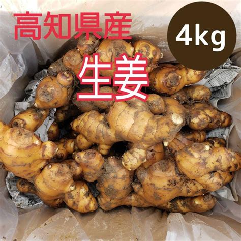 高知県産囲生姜【4kg】土付き メルカリ