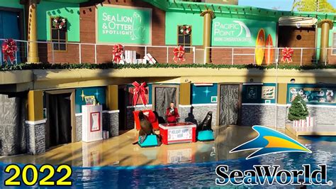 Sea Lion And Otter Spotlight Holiday 2022 Seaworld San Diego Youtube