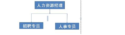 人力资源部与行政部组织架构及职能职责word文档免费下载文档大全