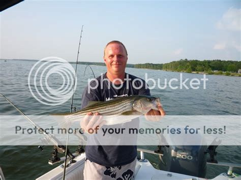 Striper Fishing On Jordan Lake