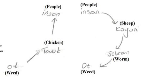 Fourth Trophic Level Figure 8 Third Trophic Level Figure 9 First Download Scientific Diagram