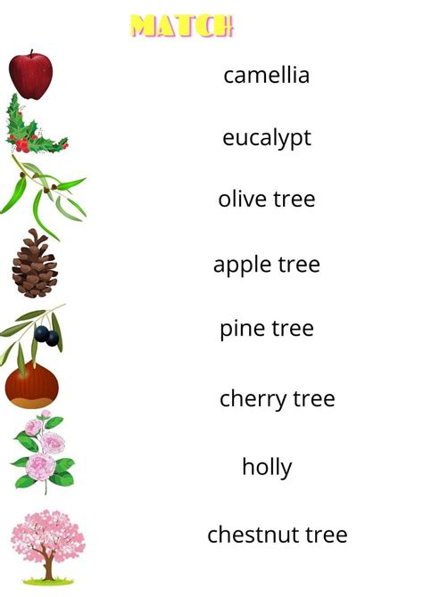 Trees Match Worksheet Live Worksheets