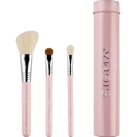 Köp Sigma Beauty Essential Trio Brush Set Light Pink på apotea se