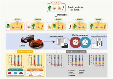 Kimchi fermentation researchKimchi fermentation research :: FoodProcessing