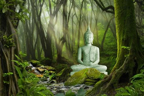 Forest Buddha Nature Wallpaper