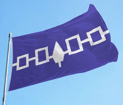 Flag Haudenosaunee Flag, 5'x3'//indigenous// Native People//five Nations - Etsy