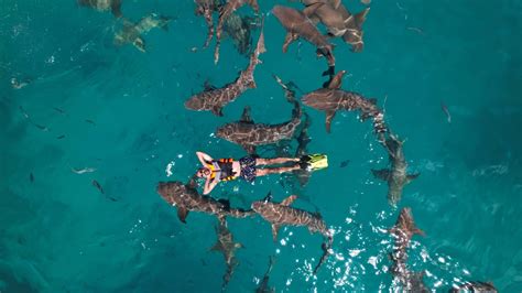 Maldivi Maldivi Putovanje Po Neverovatnoj Ponudi Yourway