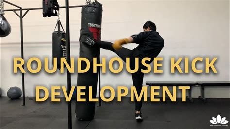 Roundhouse Kick Development Heavy Bag Workout Youtube