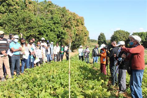 Gsdm Professionnels De L Agro Cologie Echos Des Journ Es