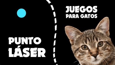 JUEGOS para GATOS atrapar el PUNTO LÁSER YouTube