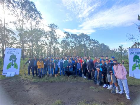 Encabeza Paola Angon Jornada De Reforestaci N En El Cerro Zapotecas