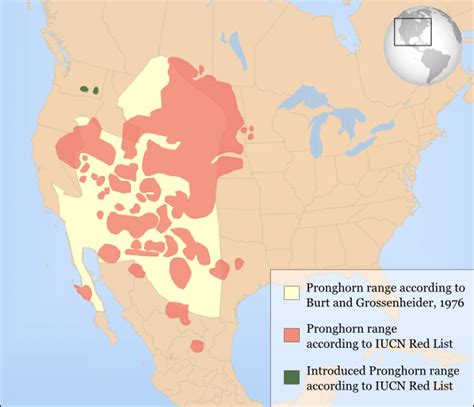 Past and Present range of the Pronghorn antelope : MapPorn