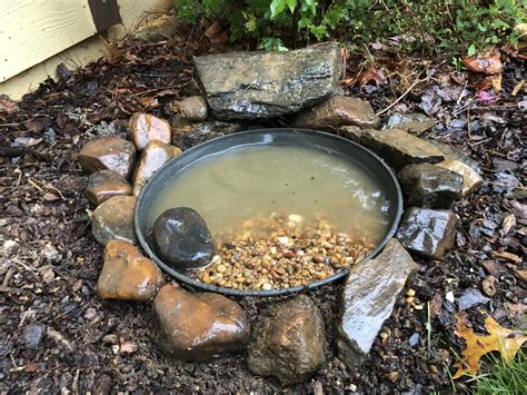 We Built A Tiny Toad Pond Simple Southern Ponds Backyard Diy Pond