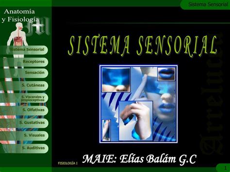 Sistema Sensorial Elias Balam Udocz