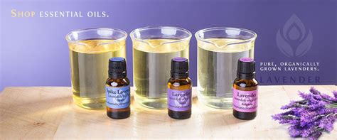 Pure Essential Oils And Aromatherapy Products Essential