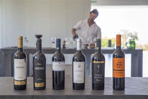 Vinhos Portugueses Do Alentejo Para Provar No Brasil