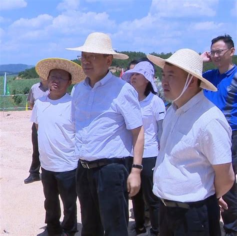 杨承新到昭阳区调研机场迁建工程推进情况昭通建设相关