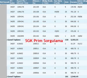 SGK Prim Sorgulama SGK Sorgulama SSK Hizmet Dökümü Prim Sorgulama